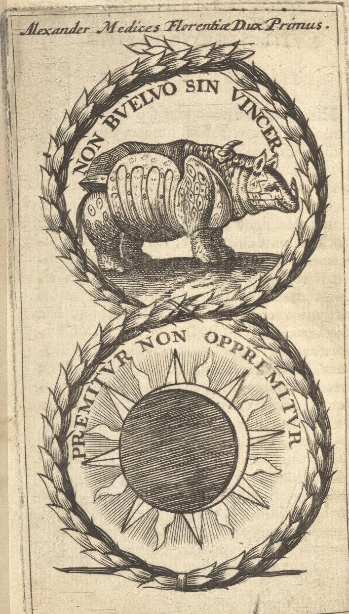 Non Buelvo Sin Vincer