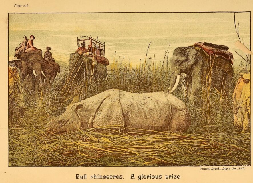 Tent Life in Tigerland