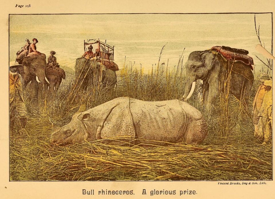 Tent Life in Tigerland