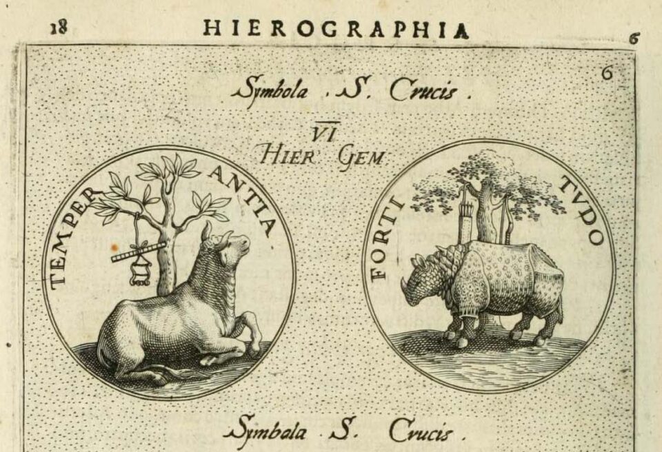 Typotis 1601 Fortitudo