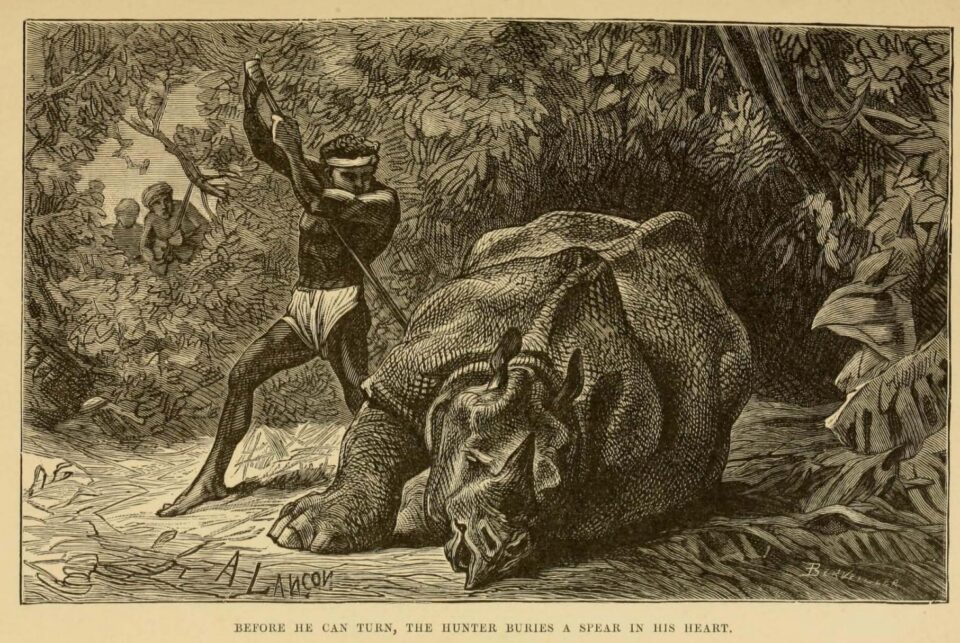 Kellogg one-horned hunt 1888