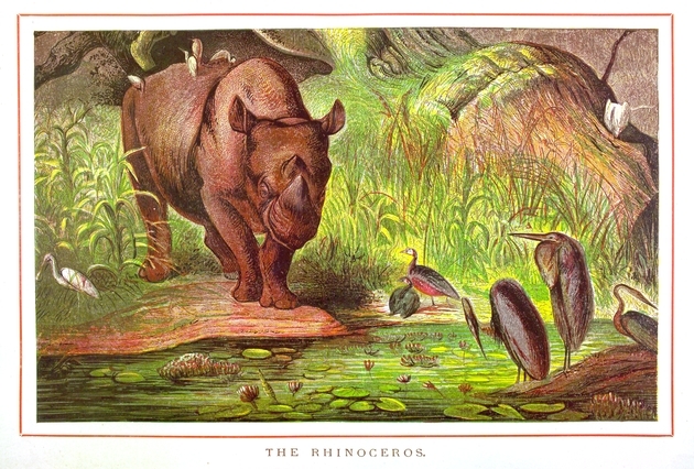 Pictorial Museum 1880