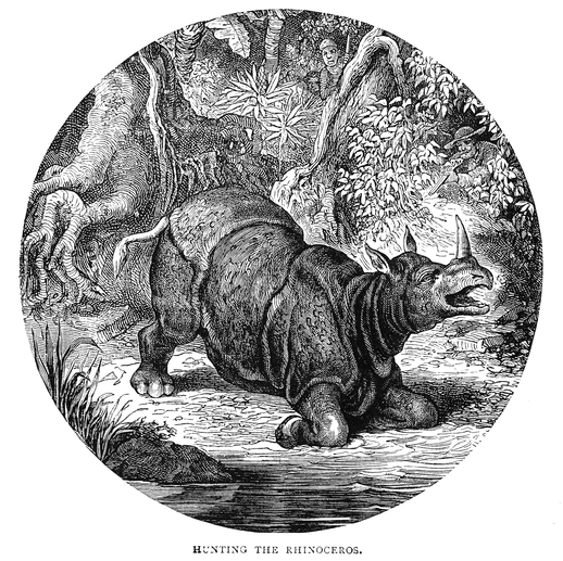 Pollok in Pictorial Museum