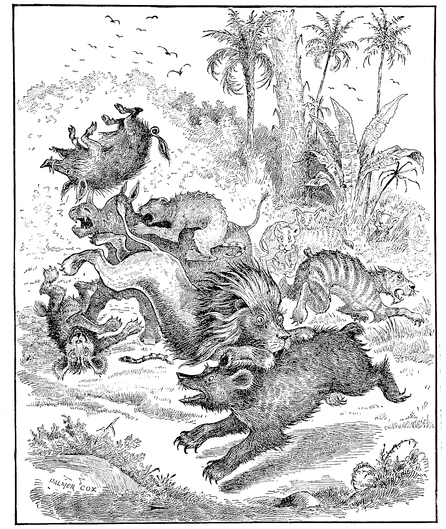 Lion and rhinoceros 03