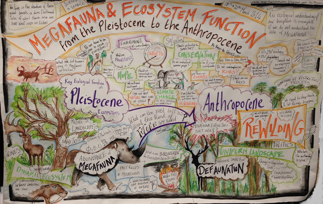 Megafauna & Ecosystem Function from the Pleistocene to the Anthropocene