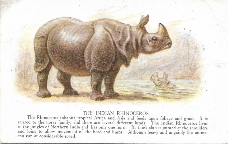 Pocock text on postcard