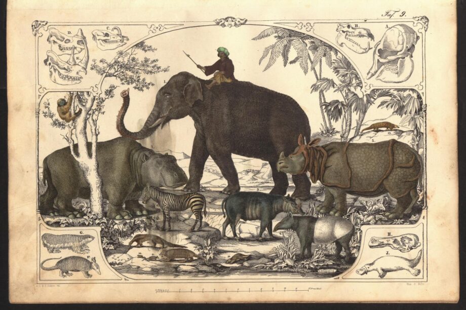 Lindner Naturgeschichte