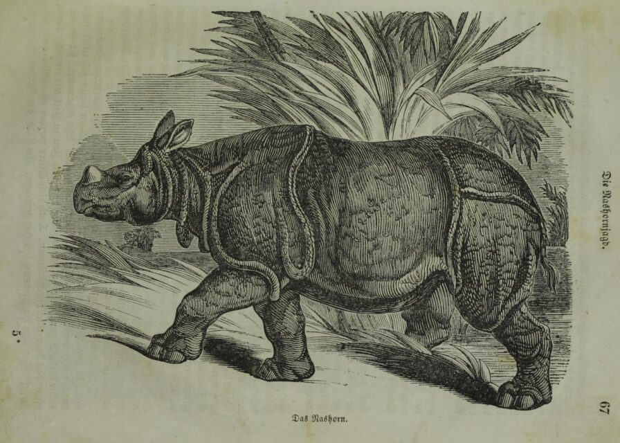 Reichenbach 1855 Kinderbuch