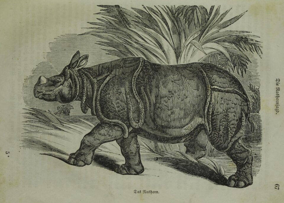 Reichenbach 1855 Kinderbuch