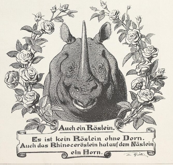 No rose without a thorn