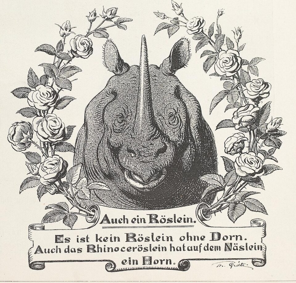 No rose without a thorn