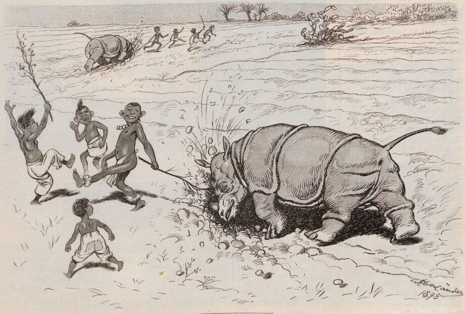Rhinoceros ploughing