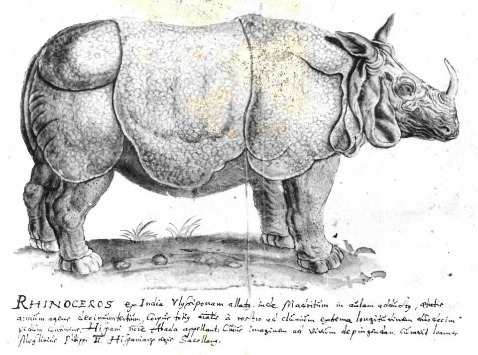 Roeting copy of Galle