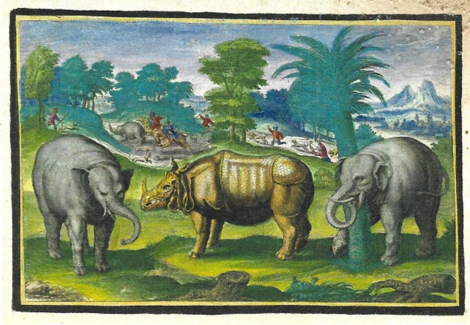 Coloured copy of Collaert 1612