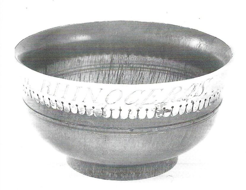 I am the Horn of a Rhinoceros