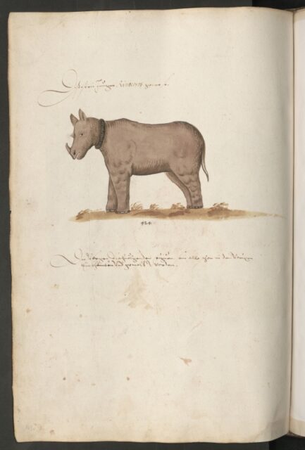 Johannes Lewenklau 1586
