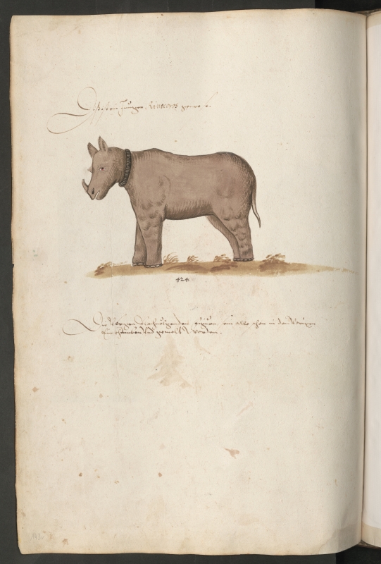 Johannes Lewenklau 1586