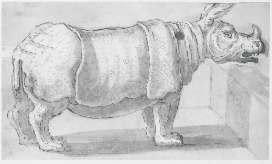 Clara in Wurzburg 1748