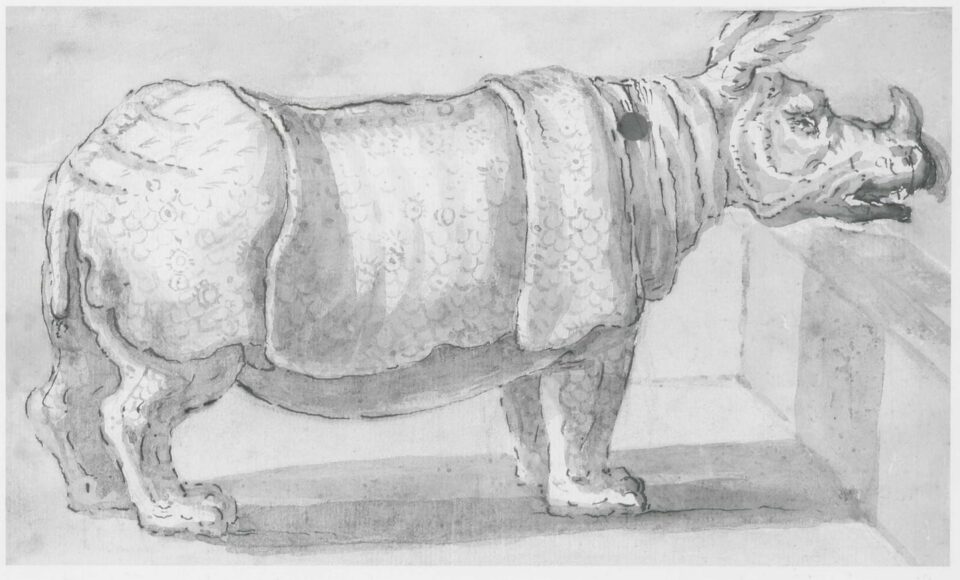 Clara in Wurzburg 1748