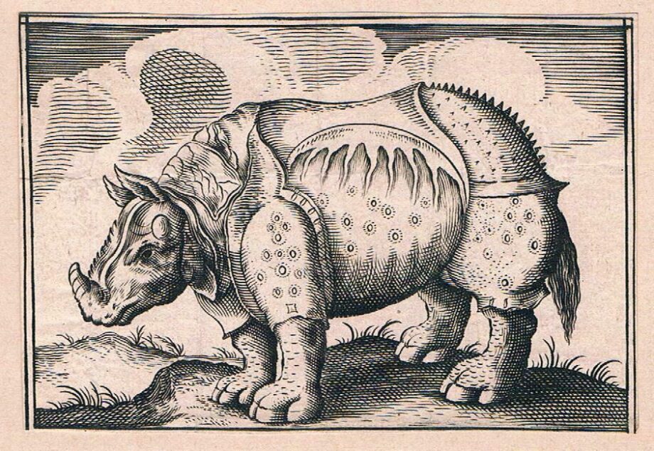 One of earliest images of Clara