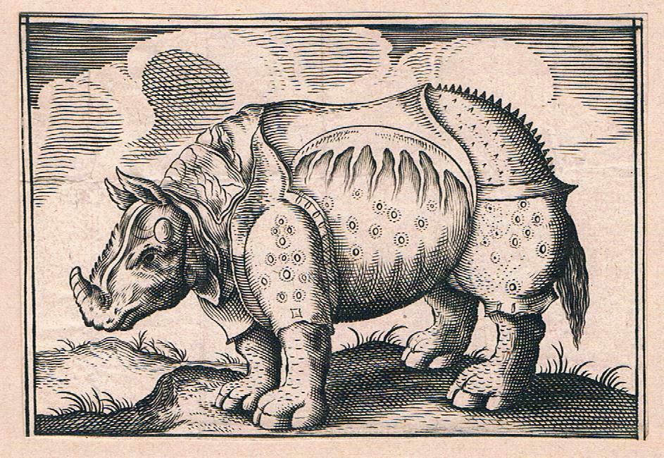 One of earliest images of Clara