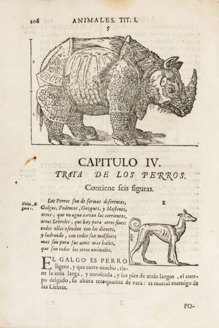 Juan de Arphe y Villafane