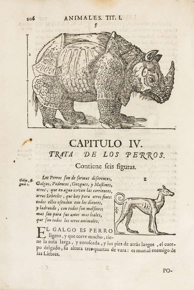 Juan de Arphe y Villafane