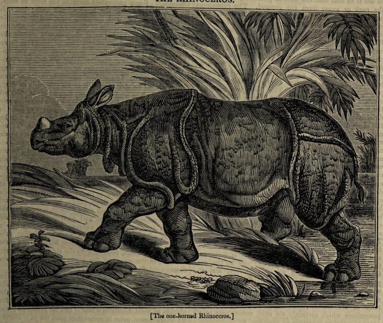 Surrey Zoo 1834