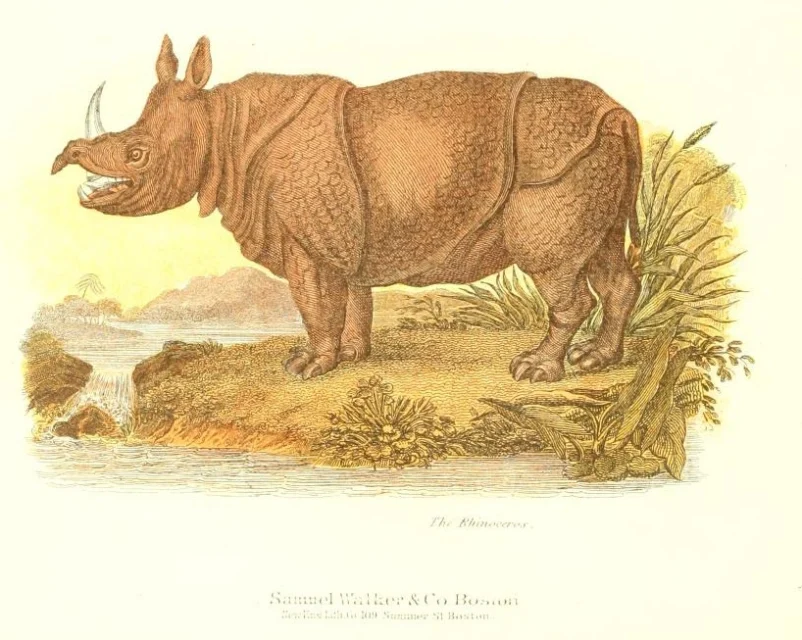 Arnold 1870 Living World