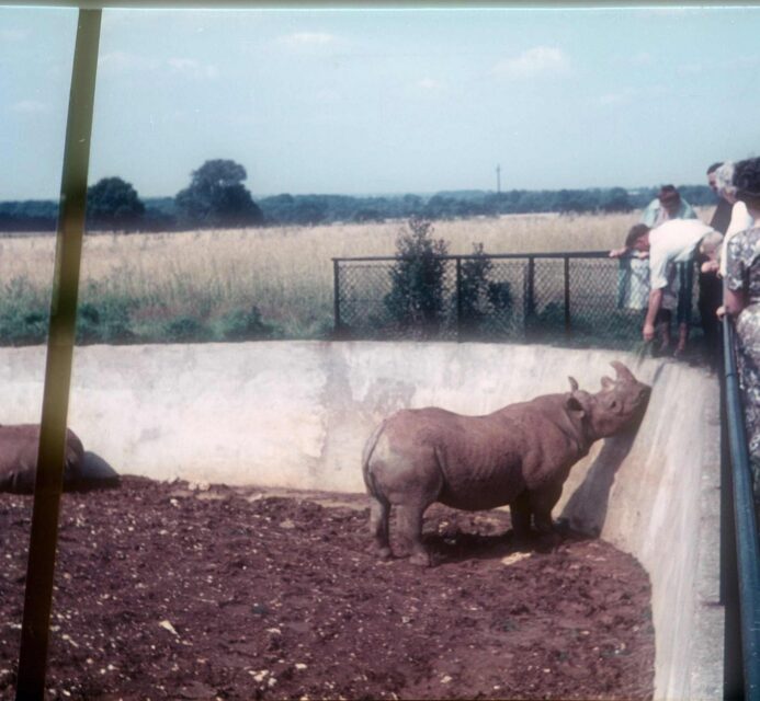 Whipsnade 1966