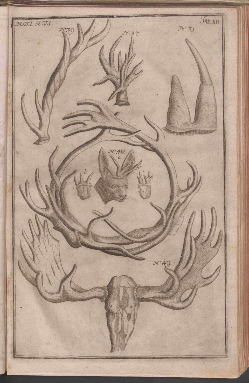 Museum Christian V Denmark