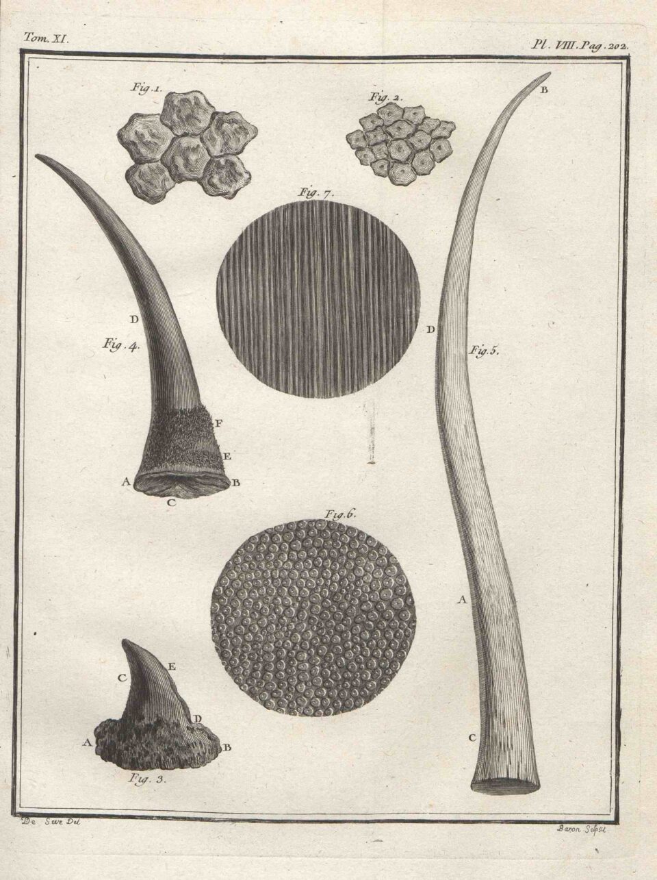 Rhino parts in Paris