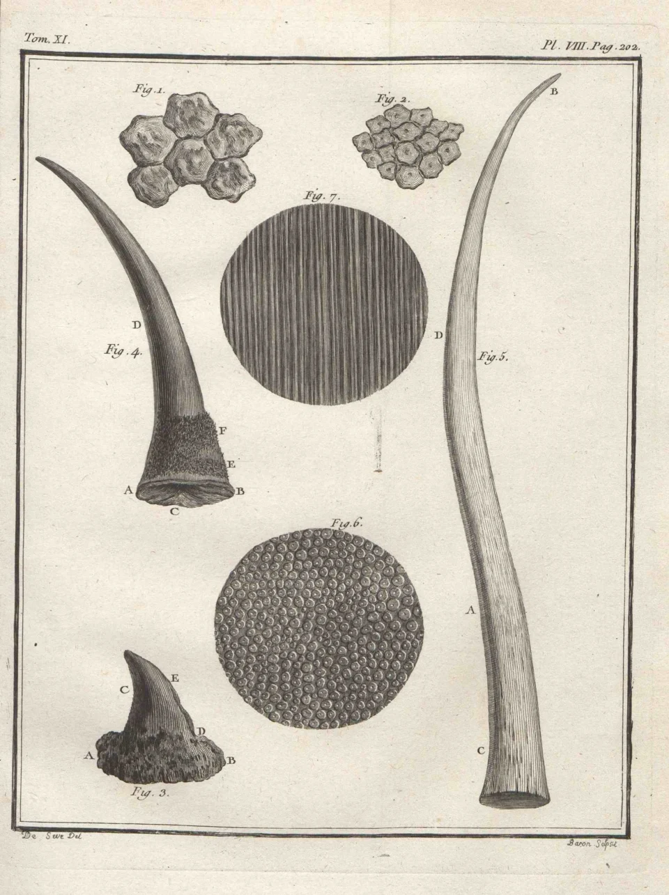 Rhino parts in Paris