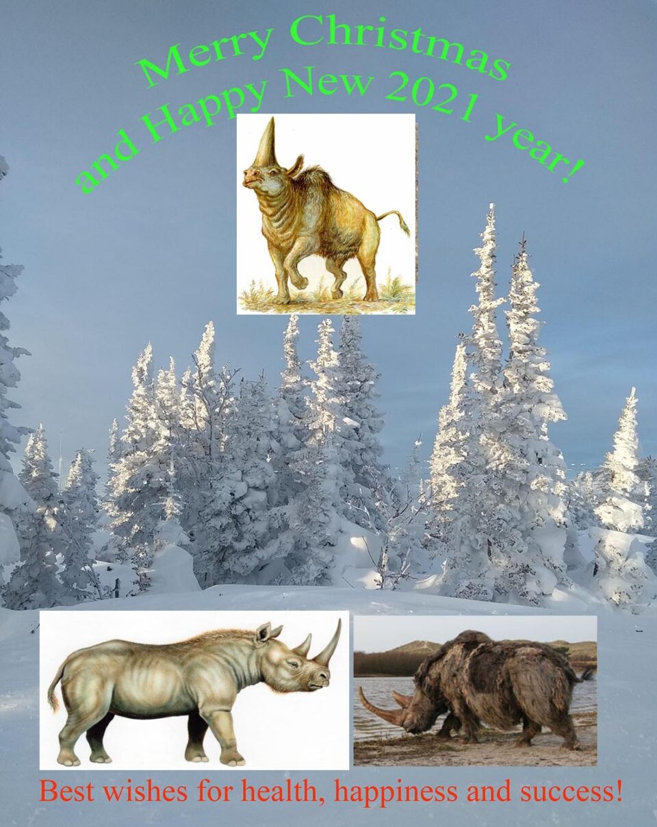 Pleistocene 2021 wishes