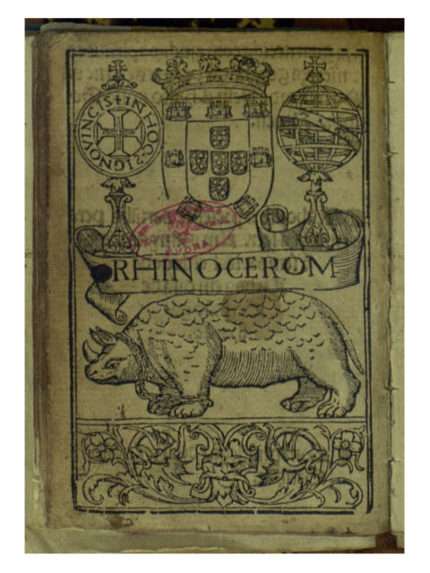 “Rhinocerom” from Cartinhas