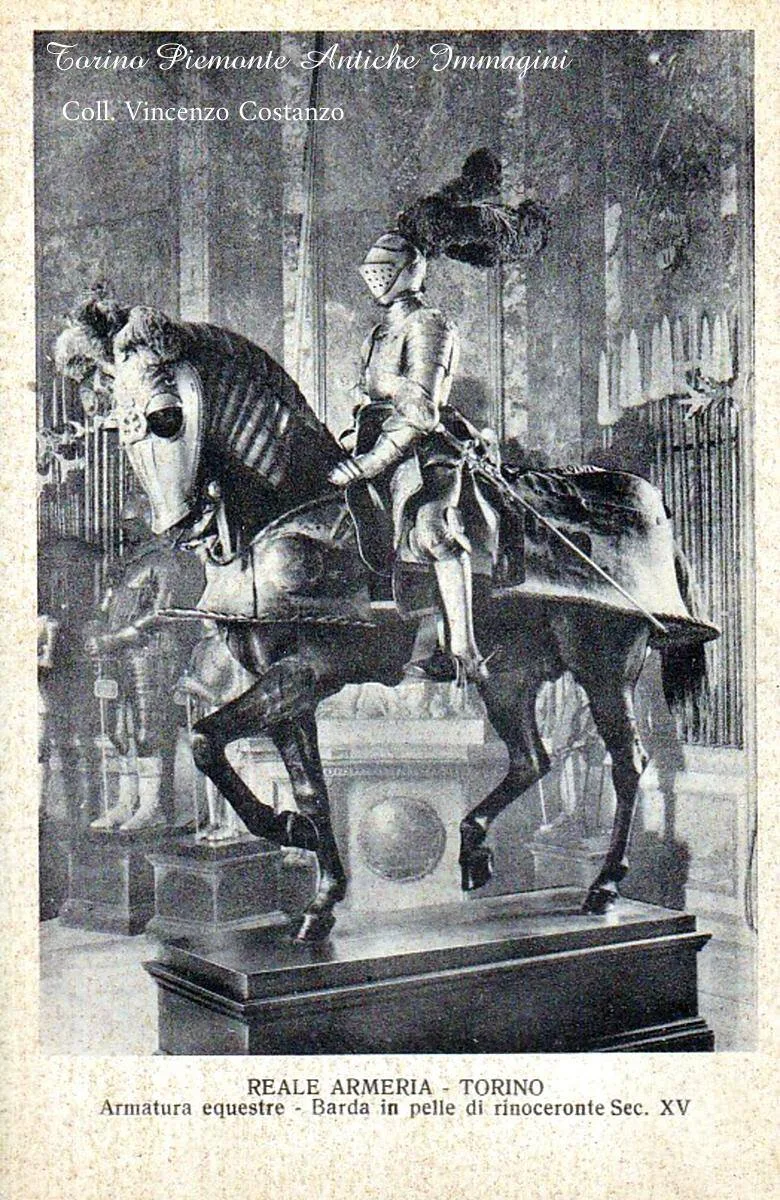 Rhinoceros armour