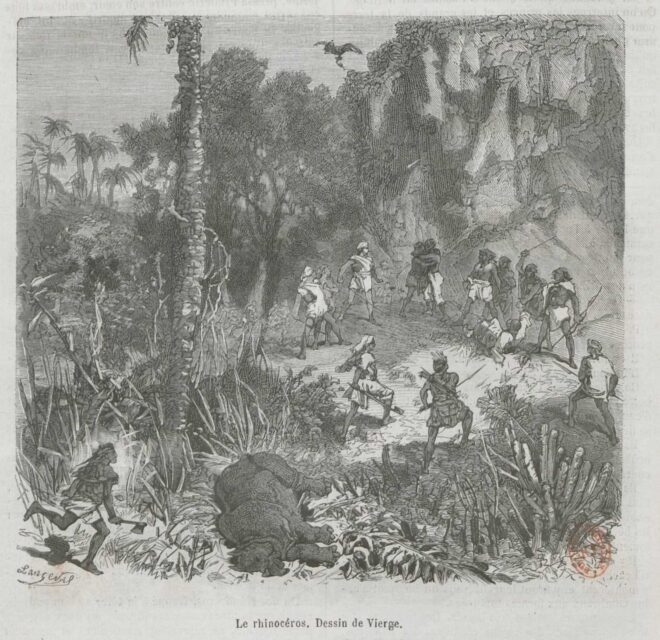 Dubarry 1874