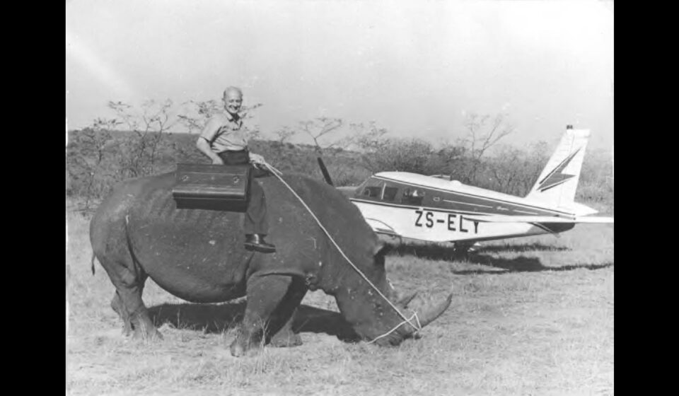 Louis Goebel on rhino