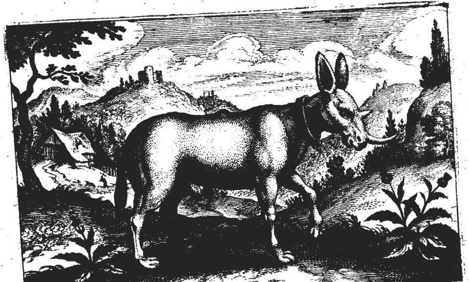 Catelan 1625 double-horned