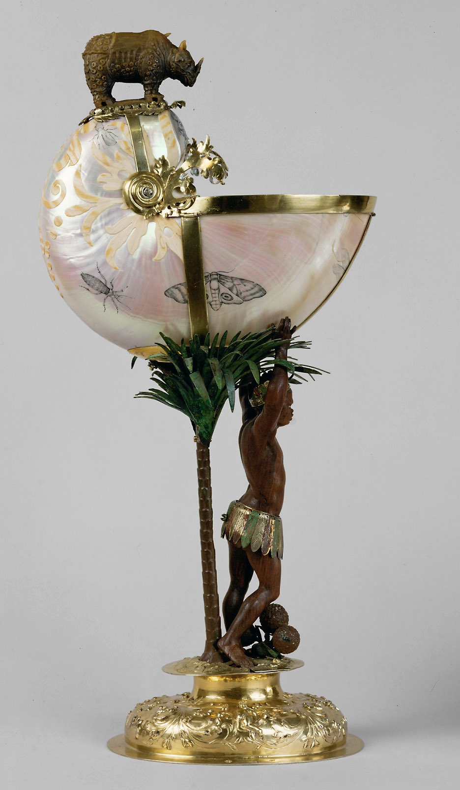 Nautilus with rhinoceros