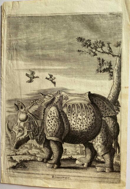 Giuseppi d’Allessandro 1723