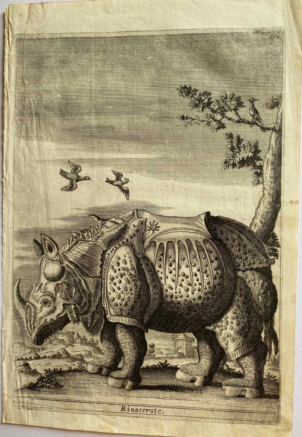 Giuseppi d’Allessandro 1723