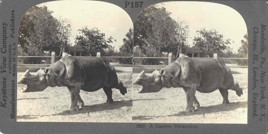 Stereo photo by Keystone View Company: Meadville