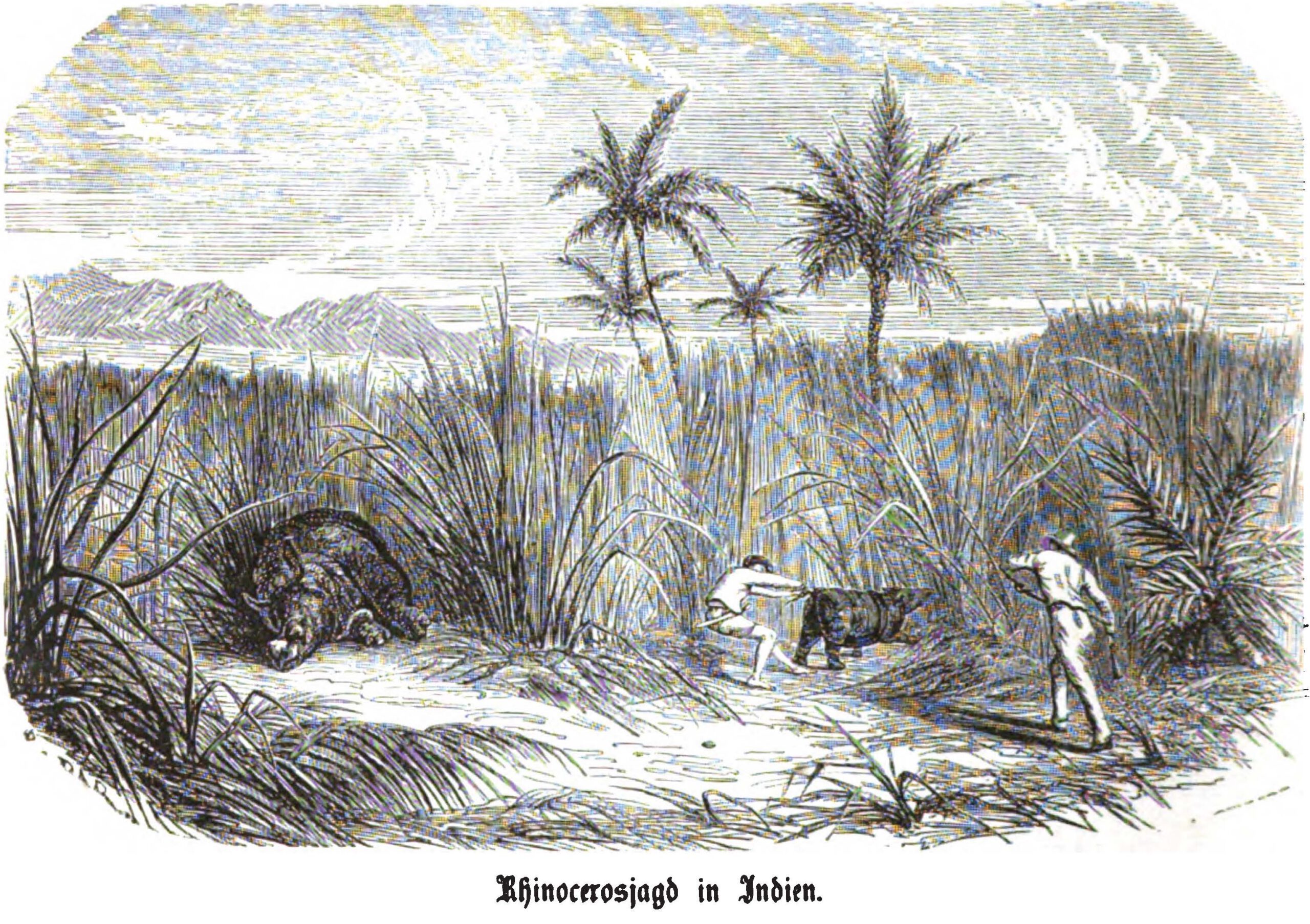 Rhino hunt in the Indies