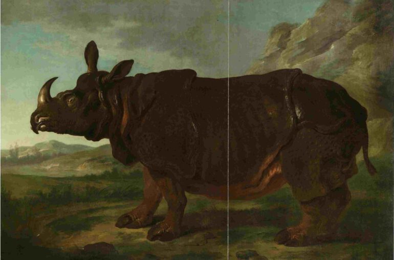 Oudry Painting of Clara