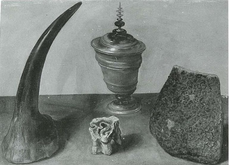 Rhino parts in 16th century