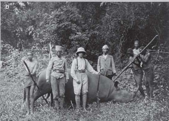 Vittorio black rhino