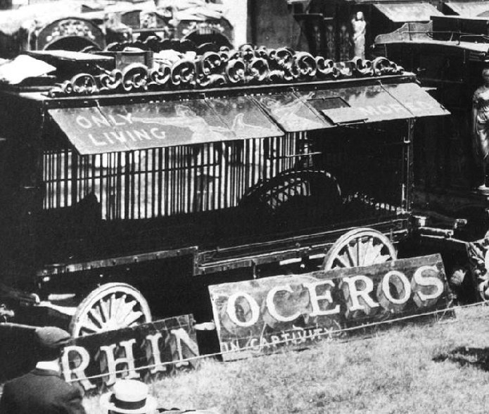 Adam Forepaugh Circus Rhino Waggon