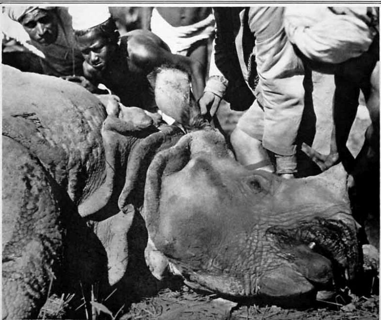 Vernay-Faunthorpe in Nepal