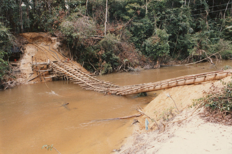Rhino capture in Sumatra 1984-1993